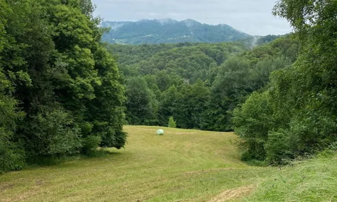 Недвижимость Сентюр Буковье при Сливнице: 3