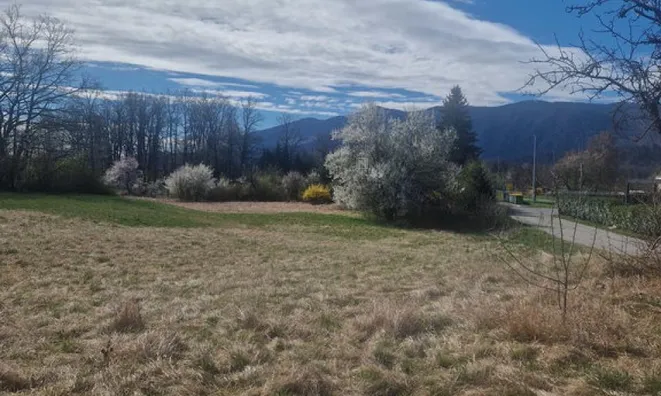 Недвижимость Инвестиционная недвижимость в Новом Лешце: 3