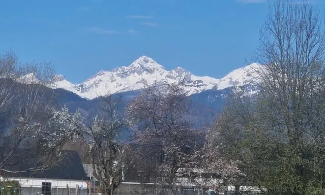 Недвижимость Инвестиционная недвижимость в Новом Лешце: 7