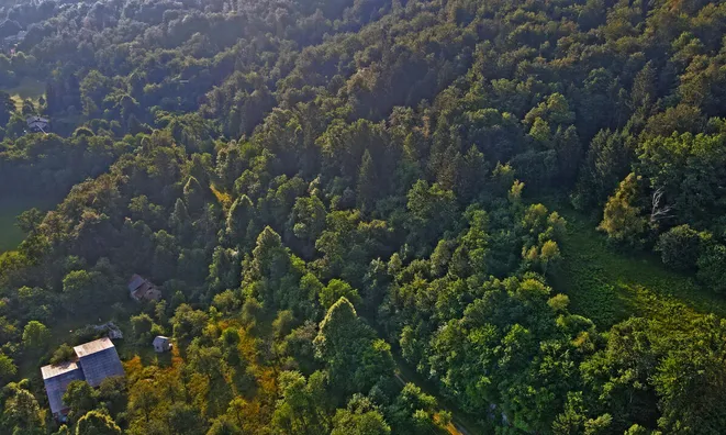 Недвижимость Поместье, фермерское хозяйство Горичица под Кримом.: 4