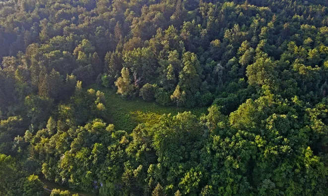 Недвижимость Поместье, фермерское хозяйство Горичица под Кримом.: 5