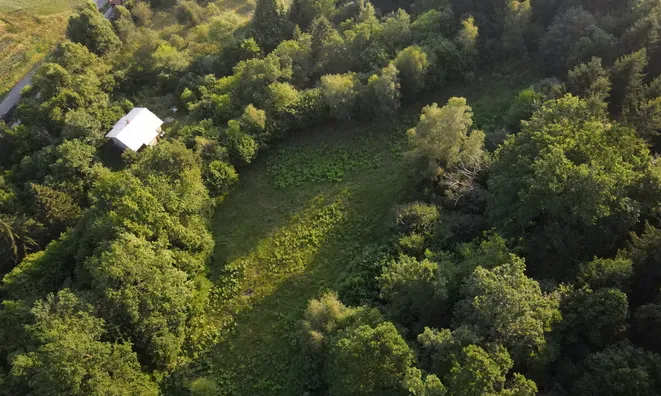 Недвижимость Поместье, фермерское хозяйство Горичица под Кримом.: 6