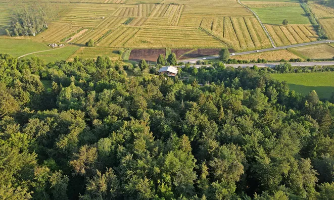 Недвижимость Поместье, фермерское хозяйство Горичица под Кримом.: 8