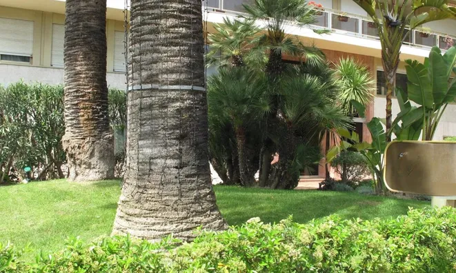 Недвижимость Apartment Monaco, Larvotto: 2