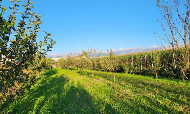 Недвижимость Дом с террасой, Любляна, Бежиград, Подгорица.: 4