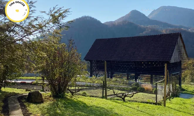 Недвижимость Участок, фермерская усадьба в Брстовнице: 7