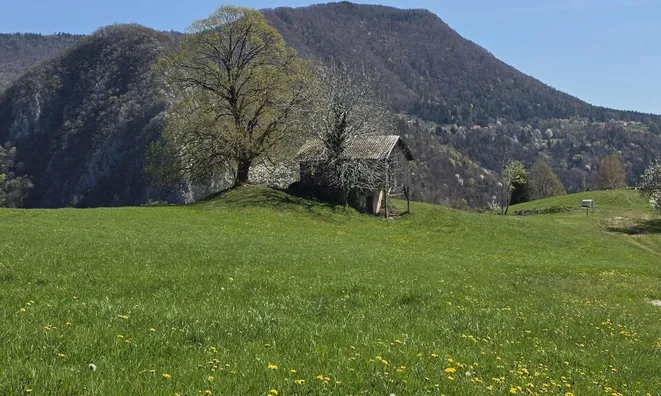 Недвижимость Поместье Сочка, Кметияново: 15