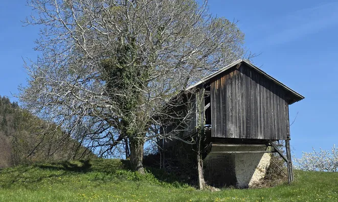 Недвижимость Поместье Сочка, Кметияново: 18