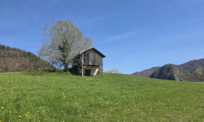 Недвижимость Поместье Сочка, Кметияново: 19