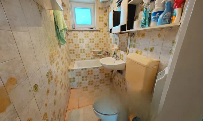 Недвижимость Двухкомнатная квартира Новый Сежана: 14