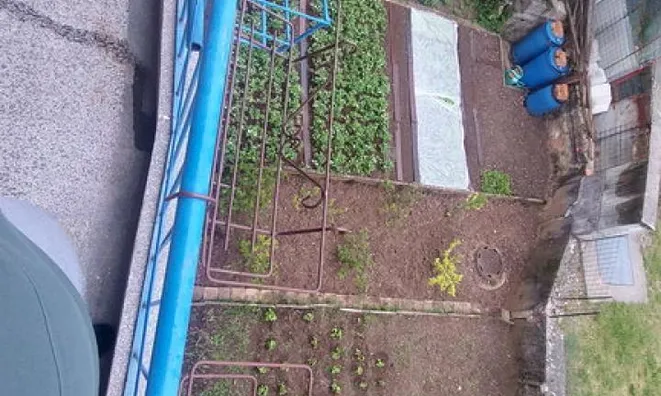 Недвижимость Двухкомнатная квартира Новый Сежана: 17