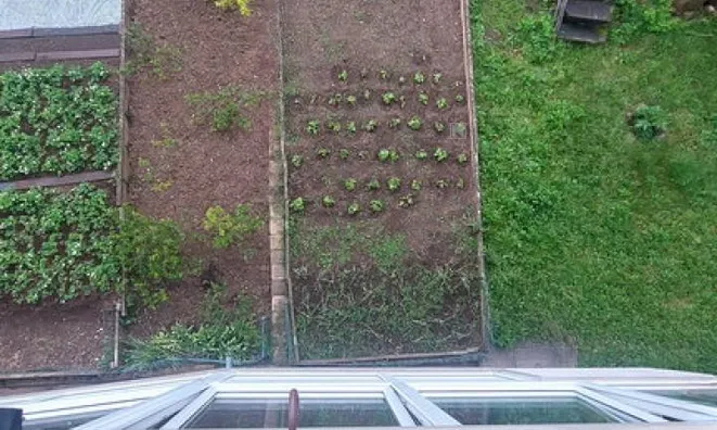 Недвижимость Двухкомнатная квартира Новый Сежана: 18