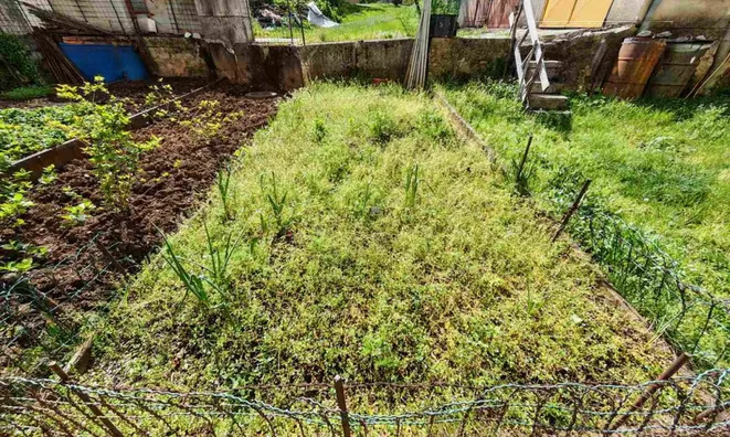 Недвижимость Двухкомнатная квартира Новый Сежана: 25