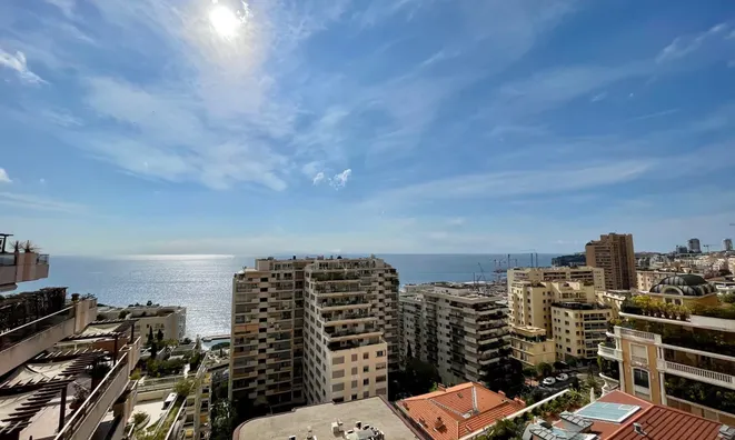 Недвижимость Apartment Monaco, La Rousse: 2