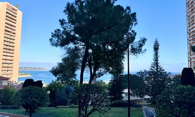 Недвижимость Apartment Monaco, Monte-Carlo: 13