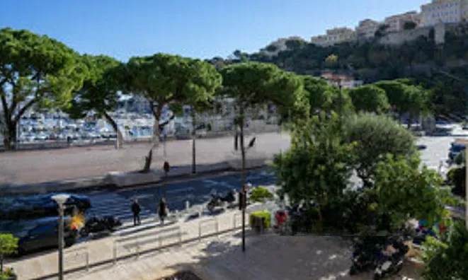 Недвижимость Apartment Monaco, Port: 2