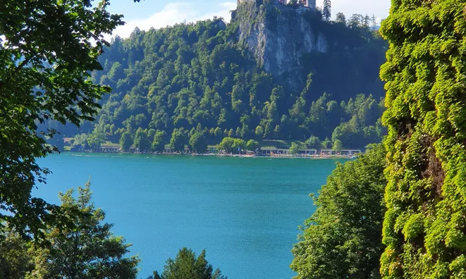 Недвижимость Дом, Блед, Желешка cesta 14: 4