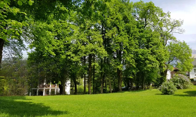 Недвижимость Дом, Блед, Желешка cesta 14: 11