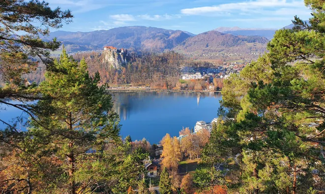 Недвижимость Дом, Блед, Желешка cesta 14: 13