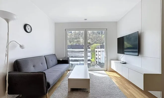 Недвижимость Apartment 2 bedrooms for sale in Luxembourg-Muhlenbach: 7