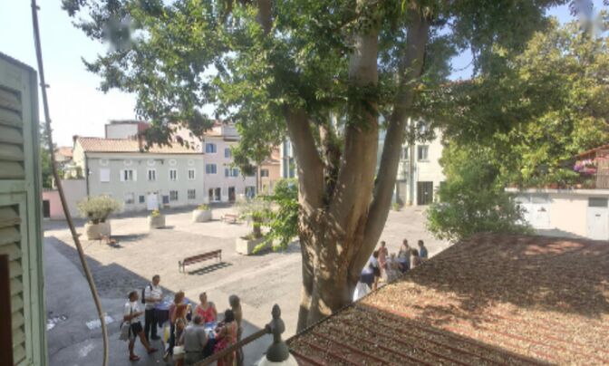 Квартира, 3-комнатная в центре Копера
