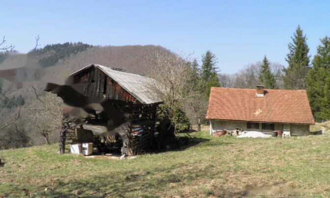 Усадьба и ферма Мария Река