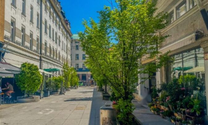 Коммерческое помещение в центре