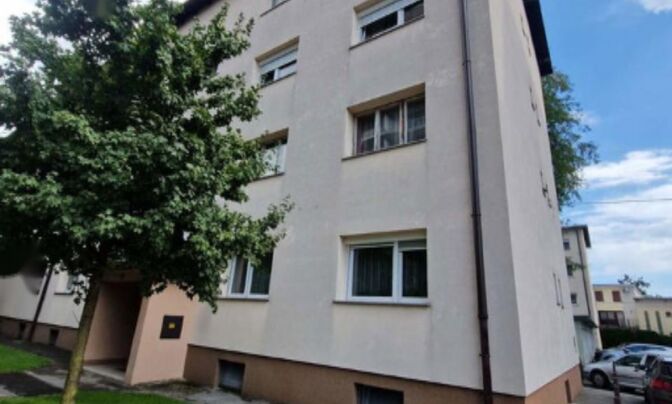 Трёхкомнатная квартира Шишка