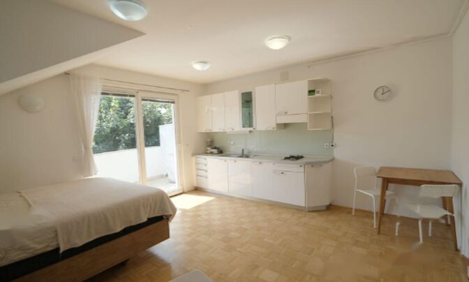 Студия в Ново Любляна Вич