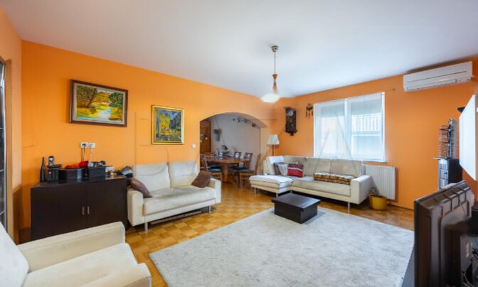 Дом в Любляне, Шишка