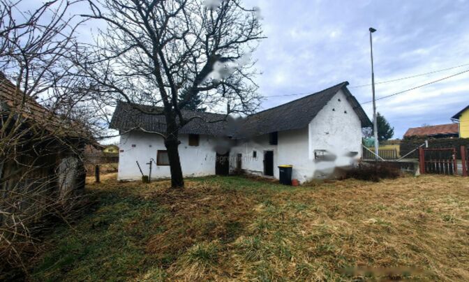 Дом, Средишче об Драви