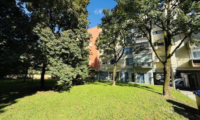 Квартира 1,5 комнаты Новый БС 3