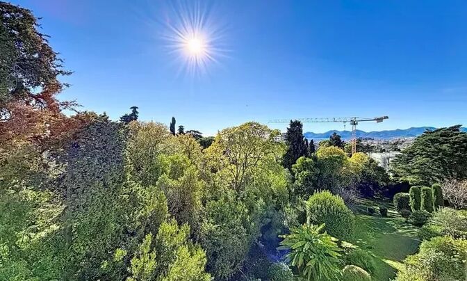 House Cannes
