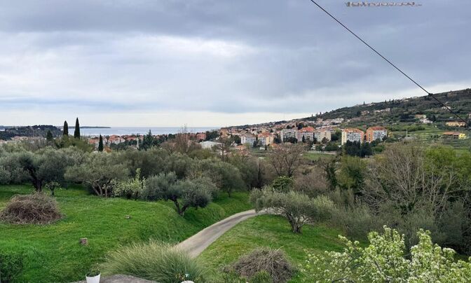 House by the sea with a view of olives
