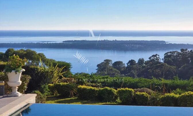 Villa Cannes Californie