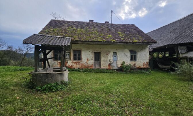 Дом, Черешневец