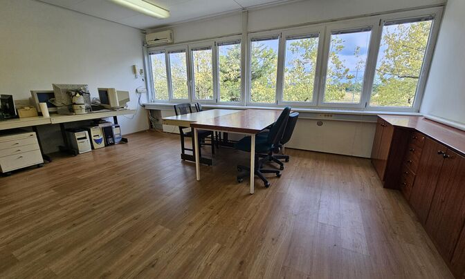 Офисное помещение Шишка