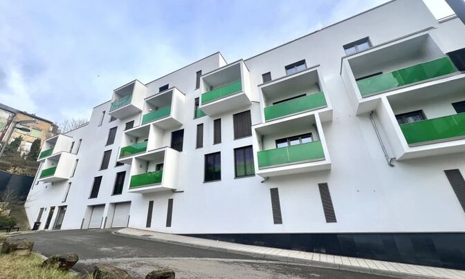 Apartment 1 bedroom for sale in Differdange