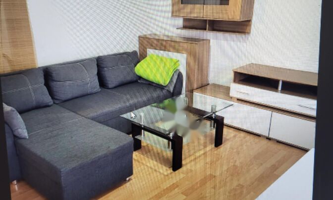 Квартира 1-комнатная Шишка