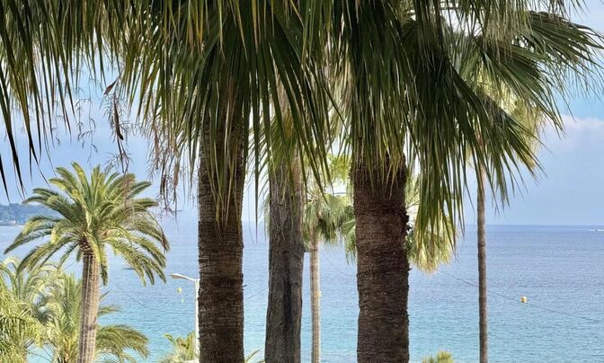 House Cannes