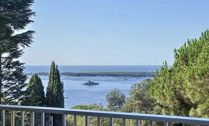 Property Cannes
