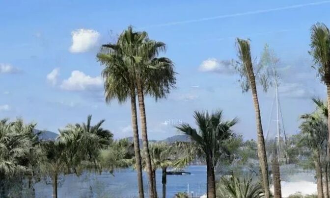 Villa Pointe Croisette
