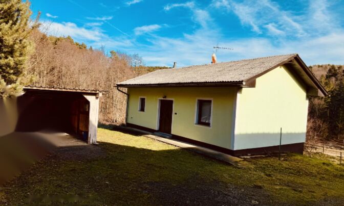 Усадьба, ферма Ковачевцы