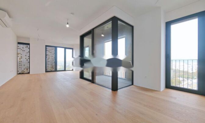 Четырехкомнатная квартира, Шишка