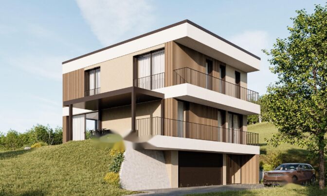 Дом в Подутике