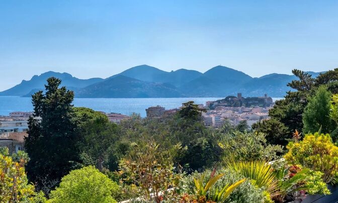 House Cannes