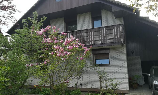 House, Bled