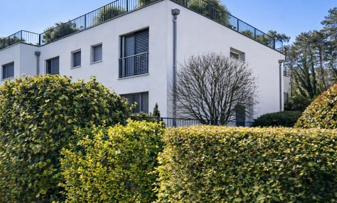 Single house 7 rooms