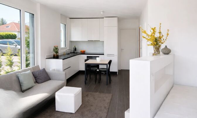 Terrace flat 1.5 rooms
