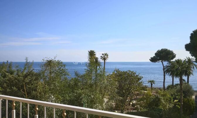 Home Cannes Centre-Ville